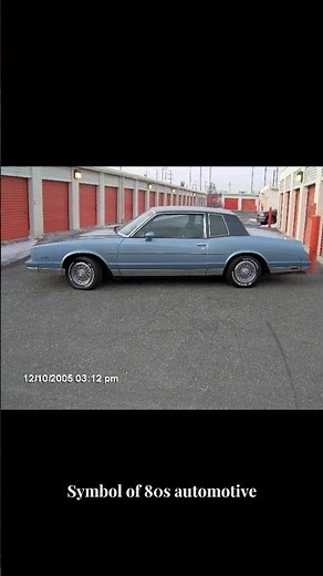 Vinyl Dreams: The 1982 Monte Carlo's Resilient Elegance
