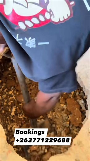 Miller Fumigation International on Reels