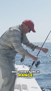 1.4K views | Join us as we showcase the optimal way to de-hook and release a striper fish while it's still in the water. #StriperFishing #FishMeasurement #CatchAndRelease #CitizenScience #MassDMF #GotOneApp #FishingTips #AnglerCommunity #FishingTechniques #OutdoorEnthusiasts | Salty Cape | Facebook