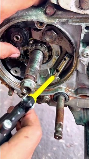 mechanical technique to check the suitability of the timing chain setting #tutorial #otomotif
