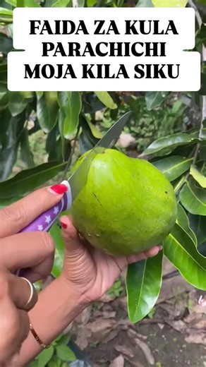 Hizi hapa ni faida kuu za kula parachichi mara kwa mara: ​1. Afya ya Moyo ​Parachichi lina kiasi kikubwa cha mafuta yasiyoganda (monounsaturated fats), hususan oleic acid. Mafuta haya husaidia: ​Kupunguza kiwango cha kolesteroli mbaya (LDL) mwilini. ​Kuongeza kolesteroli nzuri (HDL). ​Kupunguza hatari ya magonjwa ya moyo na kiharusi. ​2. Huboresha Mfumo wa Meng'enyo ​Tunda hili lina kiasi kikubwa cha nyuzi-nyuzi (fiber). Kula parachichi moja kunaweza kukupa takriban 25-30% ya mahitaji yako ya ki