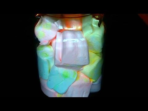 5 Awesome Vacuum Chamber Experiments (How To Make Homemade Vacuum Chamber)