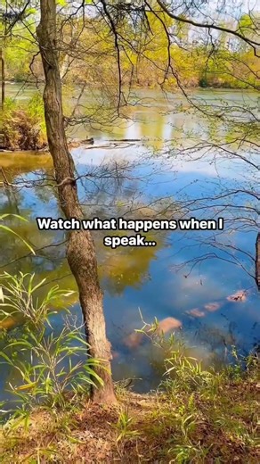 One Sound Changes Everything (Watch What Happens) #NatureObservation #Ecosystem #FieldNotes