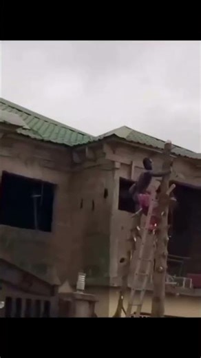 “Tree Fail Exposed Him 🌳😳😂” #viralshorts #viralvideo #viralcontent #viralreel #viralfall #viral