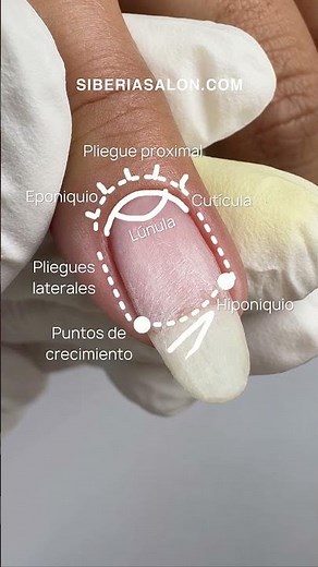 How Many Parts of the Nail Can You Name?