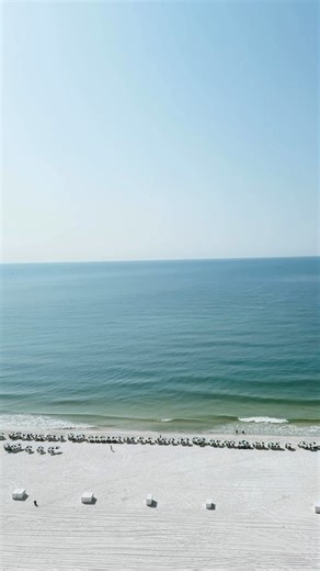 If you’re planning spring break at Alabama’s Beaches, expand the possibilities that turn a beach trip into an unforgettable memory: 🎢 Add a day at OWA for rides and entertainment 🐘 Stop by the Alabama Gulf Coast Zoo for an easy family adventure. 🏖️ Sign up for Sand Castle University 🐬 Set sail on a sunset dolphin cruise. The spring break possibilities are endless at Alabama’s beaches. 🌊☀️ https://bit.ly/40Ed6Hp #AlabamaTravel #AlabamaBeaches 📷: Video by thenielgroup on Instagram | Sweet Ho