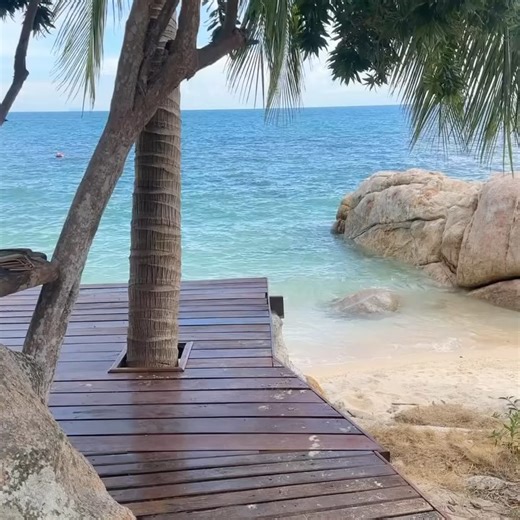 Lemon Mon Vo on Reels