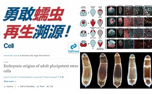 【生物化学】新知03 你以为讲蠕虫 实际讲的是干细胞！