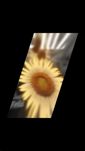 Ama, Sueña, Ríe: Celebrando la Alegría y la Música