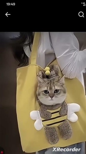 most viral vidio with cat power