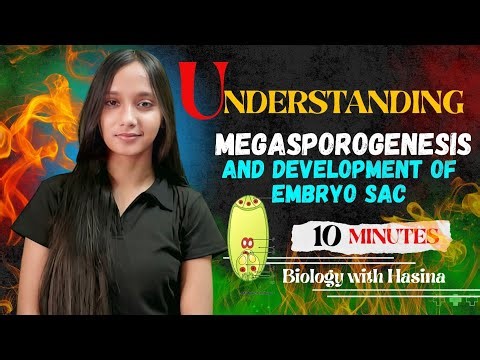 Megasporogenesis | Development of Female Embryos sac I Class 12th Biology I Biology with Hasina