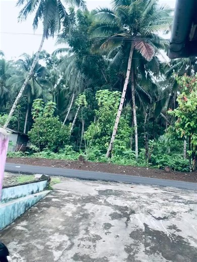 Sonic The Hedgehog: Skin Baru dan Editan Keren🤩