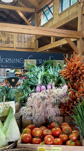 Time it start Monday with a copy of the @vineyardgazette, a hot (or iced) coffee, and stocking up on your local grocery needs, because RIGHT NOW is the perfect time to enjoy some of the best our farm has to offer! These seasonal favorites are at their absolute prime: 🥬 Spring Onions 🥗 Leafy Greens 🥬 Kale & Tatsoi 🥕 Carrots 🌱 Basil 🍅 Tomatoes | Morning Glory Farm