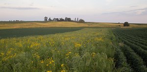 Climate-friendly farming strategies can improve the land and generate income for farmers