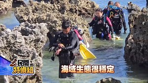 213K views · 6.8K reactions | 淚訴！別再架設光電板 在地居民：它沒了還要再等20年！ 立委翁曉玲評論：https://www.youtube.com/watch?v=PcKy_RmCGCI | 民間特偵組 | Facebook