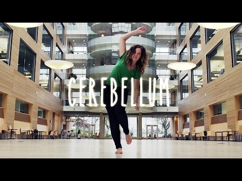 Neuroanatomy S1 E8: Cerebellum #neuroanatomy #ubcmedicine