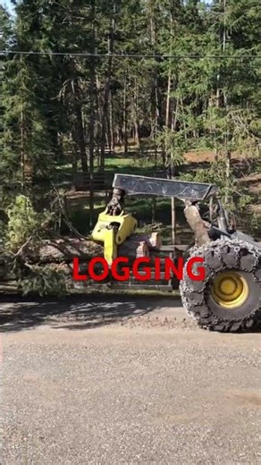 SKIDDER WITH EASY LOAD!#canada #forestry #diesel #logging #johndeere #tree #epic #fall