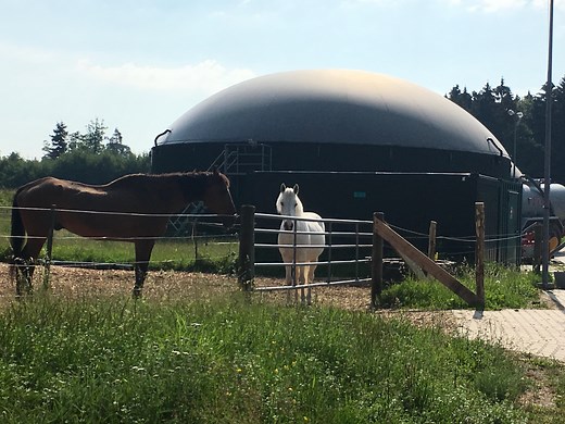 Anaerobic Digestion Overview