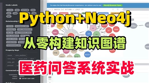 附源码！【2026知识图谱实战】基于Python Neo4j搭建知识图谱医药问答系统实战，环境配置 项目实战，AI大佬带你1小时跑通！AI/自然语言处理/毕设