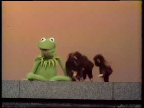 Classic Sesame Street - Kermit Counts Monkeys Full Version HQ 1971