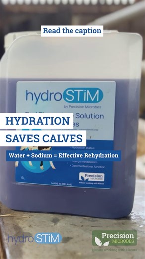 When calves develop gastrointestinal disease, dehydration quickly becomes one of the biggest risks. Fluid loss can occur through: • Diarrhoea • Fever • Increased metabolic demand Correcting dehydration depends on the severity of the case. Typical guidelines include: 💧 Mild dehydration ( 10%) – Often requires intravenous fluids administered by a vet Water absorption in the gut depends on a functional intestinal lining and the correct osmotic gradient. 🔬 Sodium plays a key role, acting as the bo