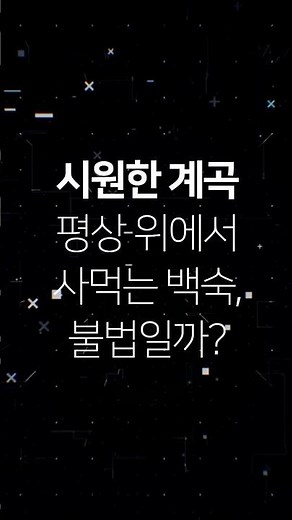 [왓더법]시원한 계곡 평상 위에서 사먹는 백숙, 불법일까? - 하천법