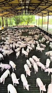 16K views · 99 reactions |  Video kely mba nahafinaritra ahy tato...