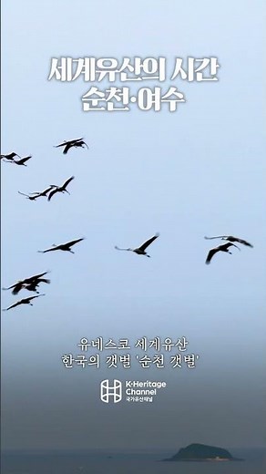 A journey through the UNESCO World Heritage of Suncheon and Yeosu. 🌿