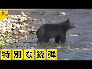 【クマ駆除】猟師の教え“一撃で”…警察官はどう対応？ 駆除用銃弾の威力を検証【バンキシャ！】