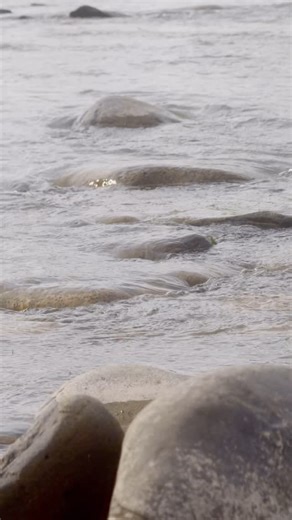 16 reactions · 3 comments | Cast away from ordinary. Our guided fly fishing excursions pair expert instruction with pristine mountain waters—all accessible with our Mountainside and Outpost stays. Book your getaway and discover the magic of summer in Windham. | Windham Mountain Club | Facebook