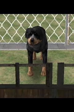 Dog Simulator 3D · Game · Gameplay