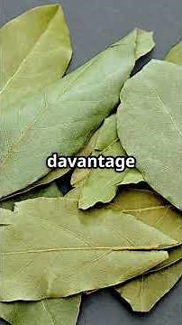 Flies HATE this plant! A natural trick that really works #fly #summer