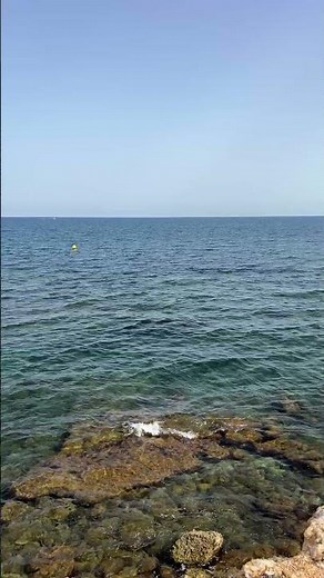 Calm Ocean Horizon 🌊☀️