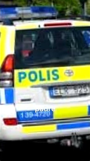 DUE FRATELLINI MORTI NELL'AUTO