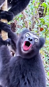 ចែកគ្នាសើច 😂🤣😂 | Pisey Sunn