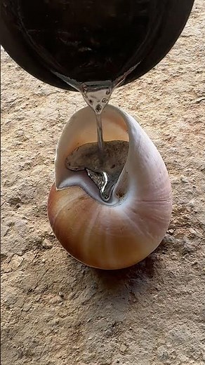 Aluminum Snail: Failure or Success? 🐌🤔 #experiment #metalcasting #shorts