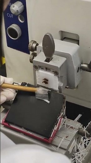 Pathological slides - Goodtools and machinery make work easy