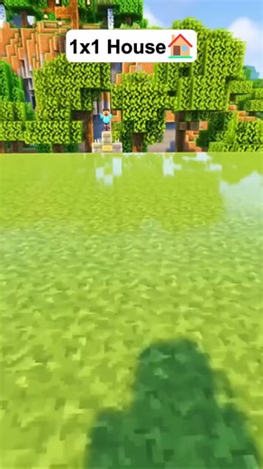 Beaver Arts on Instagram: "Minecraft 1x1 House🏠 Tutorials on YouTube 'Link in Bio' Shaders: Complementary Texture: Default —————————————————————————— #minecraft #minecraftbuilds #minecraftinspiration #minecrafttutorial #minecraftideas #minecraftyoutuber #minecraftmodern #minecraftcreation #minecrafthowto #minecrafthacks #minecrafter #minecraftdaily #minecraftbuild #minecraftcreations #mcpe #minecraftbedrock"