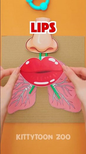 🎮 Let’s Explore Our Lungs! 🫁 Fun DIY Science Game! 😄🌬️