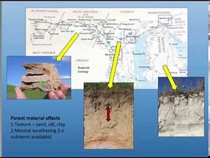 Soil pH, Liming Rates and Fertility Webinar
