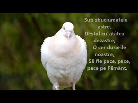 „Să fie pace în lume!” - Adrian Păunescu