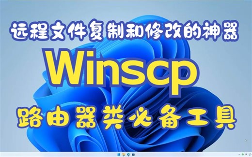 自用好用的软件推荐，Winscp，远程文件复制和修改的神器。路由器，软路由，NAS，IstoreOS的必备工具