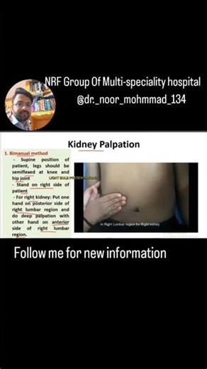 #palpation of kidney //Liver// spleen