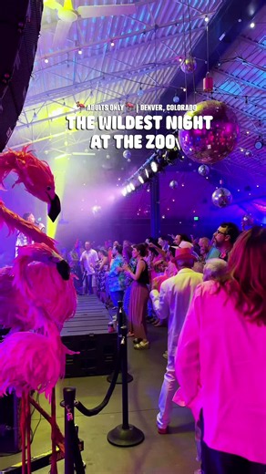 Flock Party is back at @DenverZoo, and it’s bigger than ever! This adults-only event lets you experience the zoo after hours while supporting wildlife conservation.#dzcapartners🦩a Here’s what you can expect: • 9 upgraded food stations, plus 17 bars and beverage booths throughout the zoo • Live bands, DJs, and entertainment around every corner • More animal experiences and demonstrations than ever before, including animal ambassadors, a flamingo walk, live painting, and more • The perfect excuse