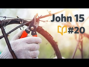 John 15 -- BSF John Lesson #20