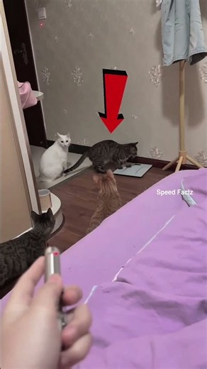 How to Turn off The Lights