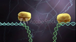 CrispR CAS 9 Gene Editing With Labels
