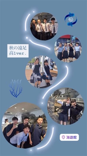 ヴェリタス城星学園高等学校【公式】 on Instagram: "最近のストーリーズをまとめてみました！📸 #ヴェリタス城星学園高等学校 #城星学園 #大阪私学 #大阪私学 #高校生 #城星の日々 #カトリックミッションスクール"