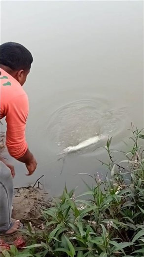 Boal Macher Powerful Tan 😳🎣 | 10 sec Real Fishing Shock! #Shorts