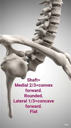 Clavicle Shaft Trick to Remember 🔥 | Anatomy in 8 Seconds | Easy Anatomy